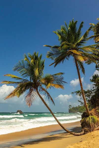Caribbean-Trinidad-Blanchisseuse Bay Beach and ocean landscape